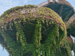 -芒洲湿地公园
