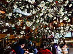 大堂-山有花啡餐厅(常营总店)