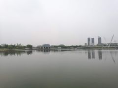 -九里河湿地公园