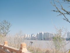 -江心屿景区