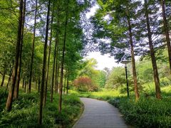 -重庆彩云湖湿地公园