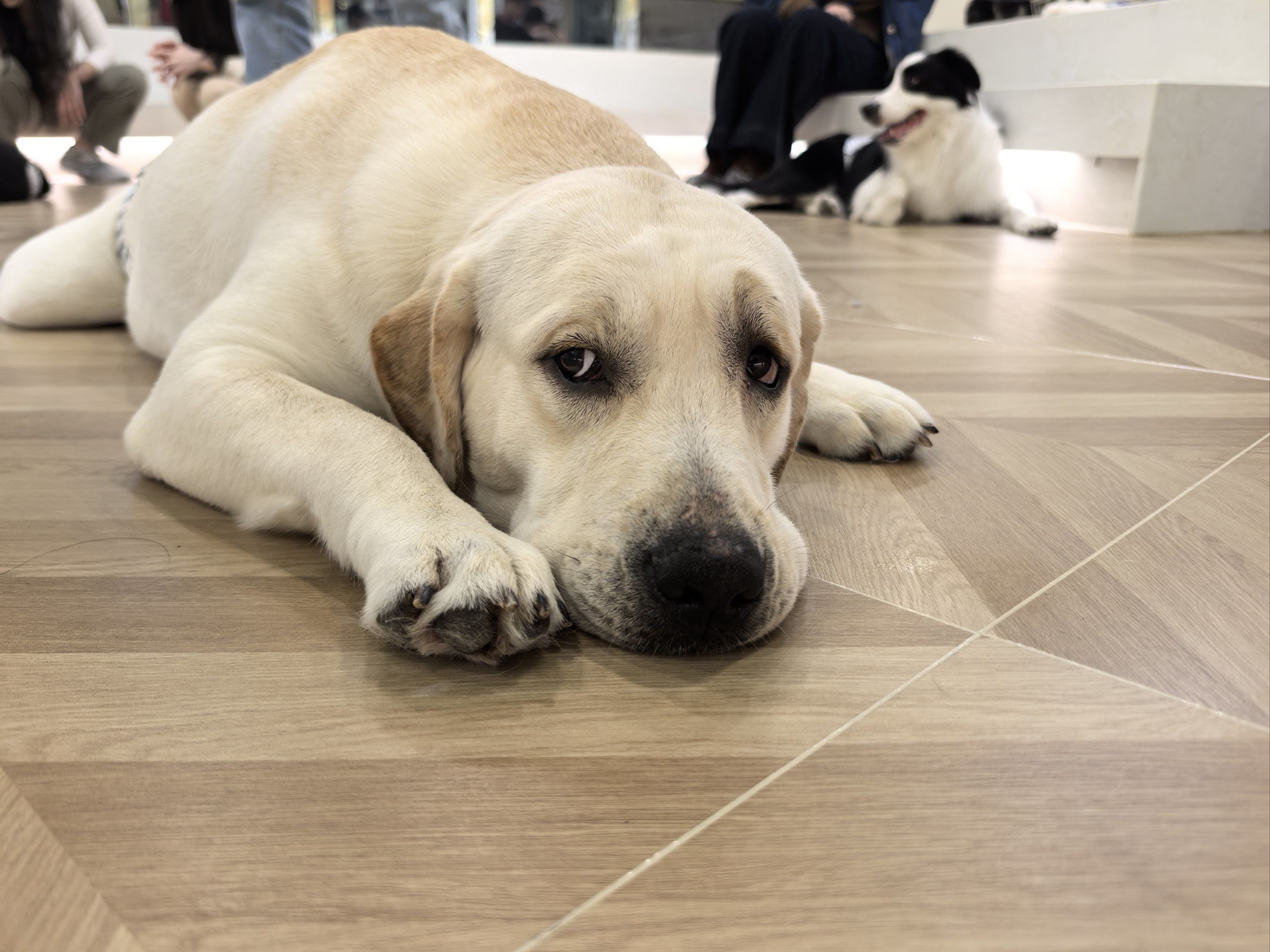 开元棋牌- 开元棋牌官网 - 开元棋牌APP下载2013年10月哈飞销量