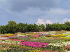 -沈阳植物园
