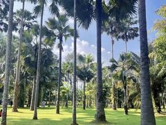 -中国科学院西双版纳热带植物园