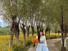 -艾溪湖湿地公园