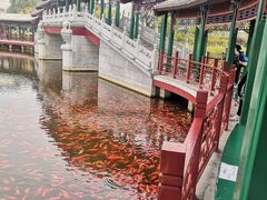 -西海子公园