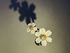 -上海当代艺术博物馆