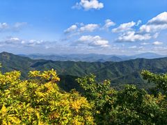 -正宗本溪县羊汤