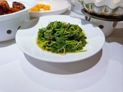 -席家花园(巨鹿花园店)