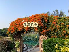 -青青世界