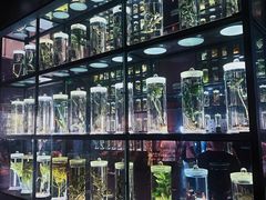 -广东中医药博物馆