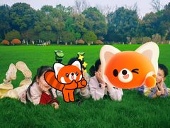 -合肥滨湖国家森林公园