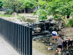 -白水寺森林公园