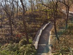 -湛山寺