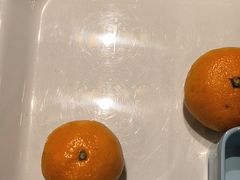 -水木谷养生水汇