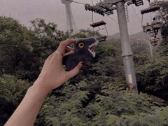 -青岛中山公园-索道售票处