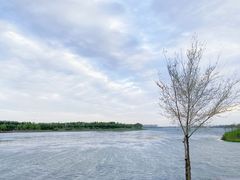 -丁香湖公园