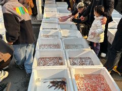 -哈尔滨道外花鸟鱼市场