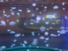 -华夏文旅西安度假区