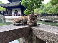 -西园戒幢律寺