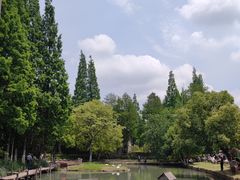-乌村