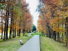 -大理洱海