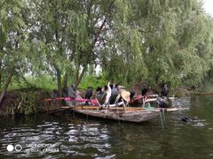 -白洋淀景区