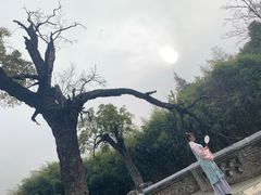 -习家池