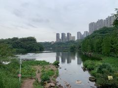 -重庆彩云湖湿地公园