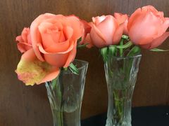 -虹桥机场V2贵宾休息室