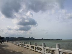 -野狸岛