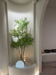 -VE小颜皮肤管理&科学美肤中心