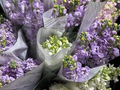 -循礼门鲜花花市(武汉循礼门店)