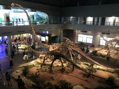 -自贡恐龙博物馆
