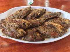 焖鱼-独流饭店(静海区国土资源分局西)