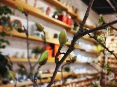 -今日陶艺(富力广场店)