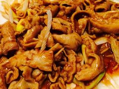 大地春饼店(黄河店)-大地春饼店(黄河路店)