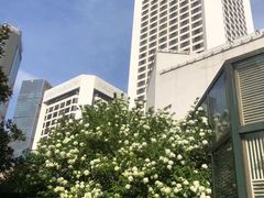 -南京金陵饭店