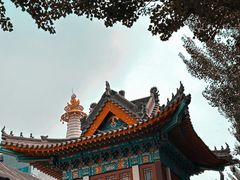 -西塔