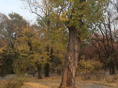 -国家植物园南园