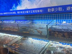 -芭菲盛宴·环球美食(北城国际店)