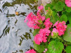 -海窝子古镇