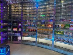 -K歌之王量贩式KTV(洪楼店)