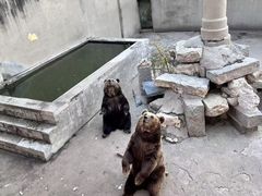 -保定市动物园