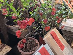 -正阳书局(西四南大街店)