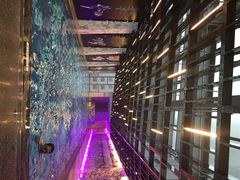 iphone_upload_pic-长安街W酒店游泳池