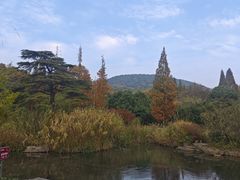 -习家池