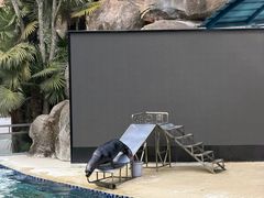 -宁波野生动物园