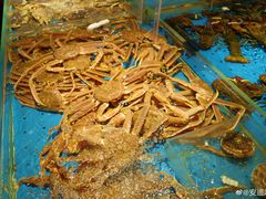 -徐记海鲜(曲江南湖店)