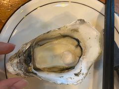 -土蚝·高压锅生蚝(百姓美食街店)